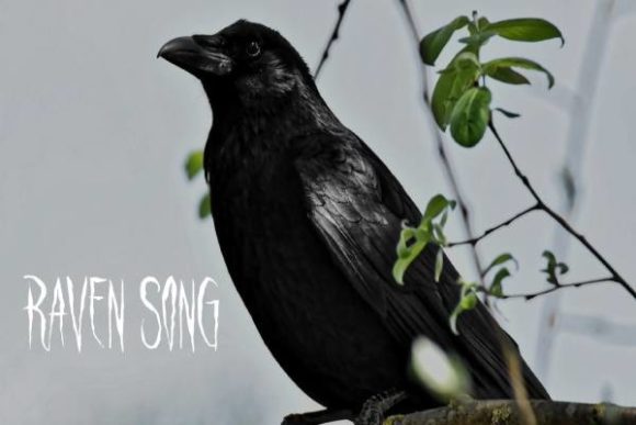 Raven Song Font: A Unique Display Typeface for Digital Design