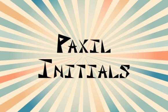 The Modern Craft Maker's Font: Paxil Initials